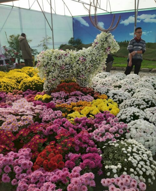 A Sangai model created with flowers