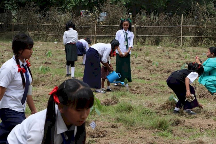 Mass tree plantation in Manipur on the occasion of the World Environment Day.