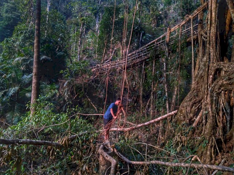 Mission Possible: Meghalaya Boy on Village Trails to Promote and Build ‘Living Architectures’